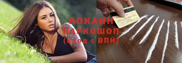 твердый Бородино