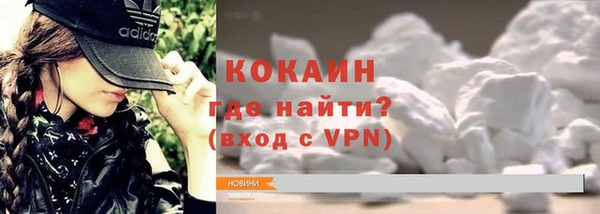 твердый Бородино