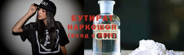твердый Бородино