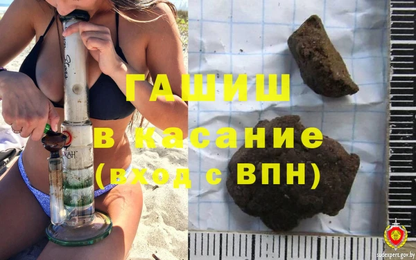 твердый Бородино