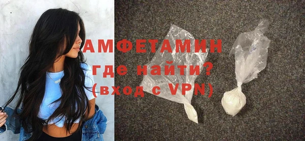 твердый Бородино