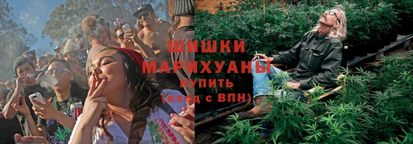 прущая мука Пересвет