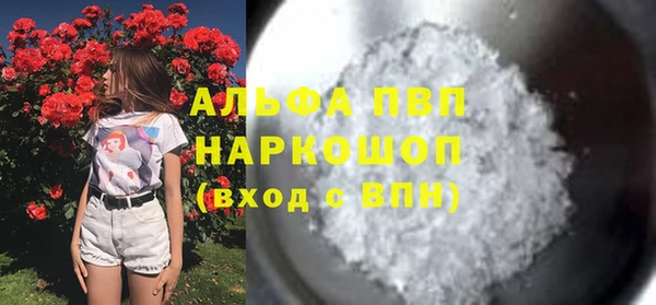 твердый Бородино