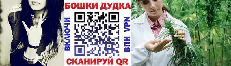 Бошки Шишки семена  сколько стоит  Вилючинск 